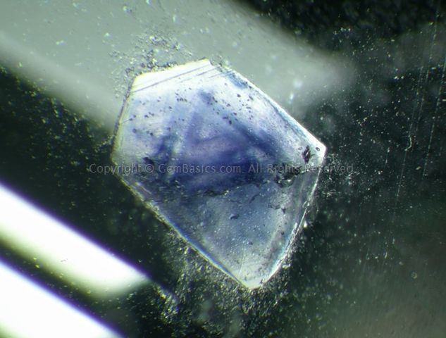 Fluorite inclusions in Quartz from Amborompotsy, Madagascar